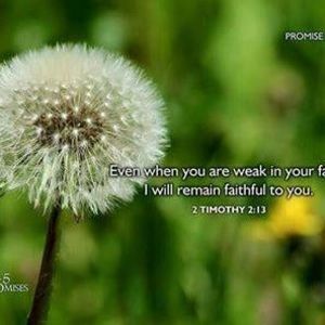 Meet your Posher, Janie